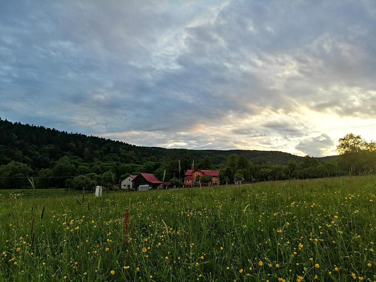 Villa Rzepedka Rzepedz Exterior foto